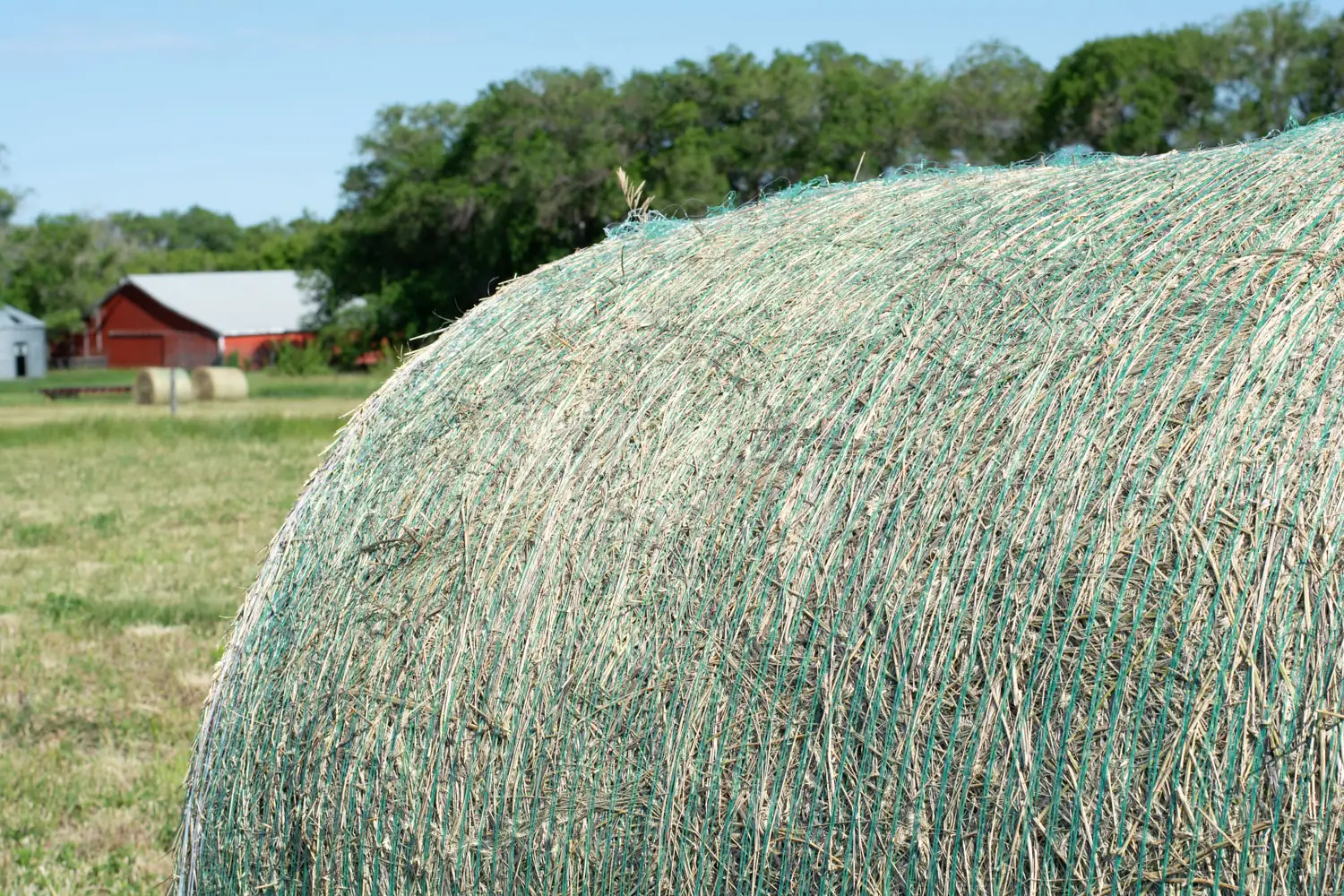 Net wrap on a grass bale